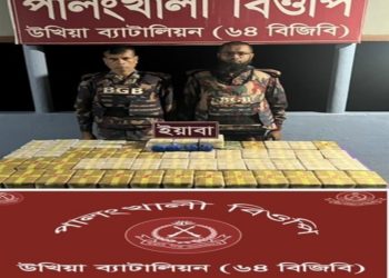 উখিয়া সীমান্তে ৬ লাখ ৭২ হাজার ইয়াবা জব্দ