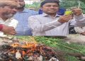 শিবগঞ্জে ১১ টিয়া পাখি মুক্ত, পুড়ল শিকারের সরঞ্জাম