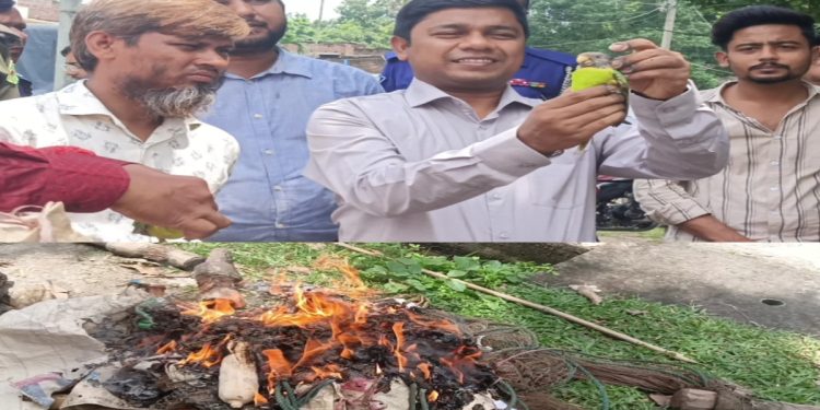 শিবগঞ্জে ১১ টিয়া পাখি মুক্ত, পুড়ল শিকারের সরঞ্জাম