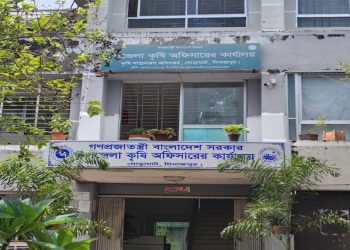 ঘোড়াঘাটে সার নিয়ে বিরোধ, মাঠের বাস্তবতার সঙ্গে সুপারিশে সমন্বয়ের তাগিদ
