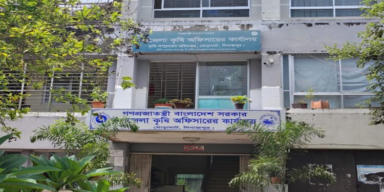 ঘোড়াঘাটে সার নিয়ে বিরোধ, মাঠের বাস্তবতার সঙ্গে সুপারিশে সমন্বয়ের তাগিদ