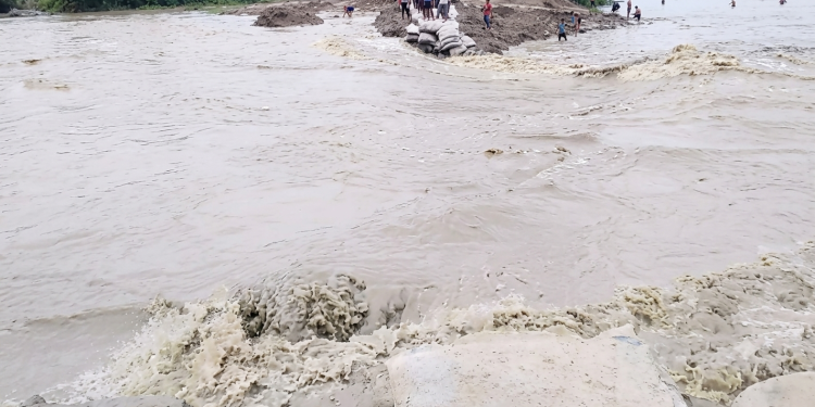 হবিগঞ্জে দেড় মাসেও মেরামত হয়নি খোয়াই নদীর ভাঙন।। ফের বন্যায় প্লাবিত বিস্তীর্ণ জনপদ