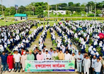চৌদ্দগ্রামে ১১শ শিক্ষার্থীর হাতে গাছের চারা বিতরণ