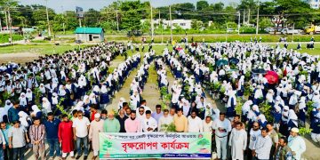 চৌদ্দগ্রামে ১১শ শিক্ষার্থীর হাতে গাছের চারা বিতরণ