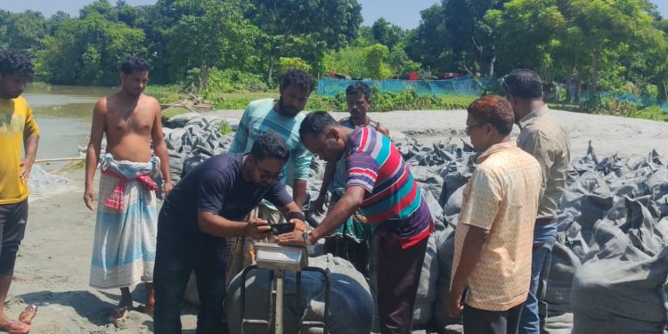 ভাঙনের আতঙ্ক কাটছে, বাগজান স্কুল রক্ষায় চলছে ব্যাপক কর্মযজ্ঞ