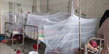 চাঁপাইনবাবগঞ্জে ২৪ ঘণ্টায় ৪৩ ডেঙ্গু রোগী ভর্তি, নারী-শিশুর মৃত্যু