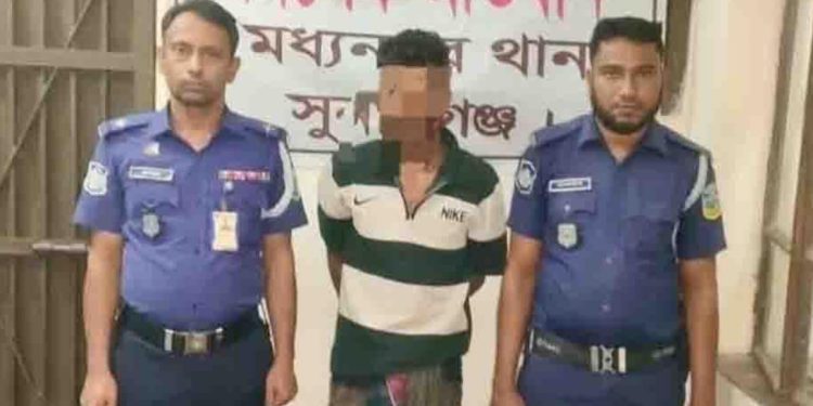 মধ্যনগর থানা পুলিশের বিশেষ অভিযানে ২০০ পিস ইয়াবাসহ যুবক গ্রেপ্তার