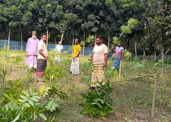 চাঁপাইনবাবগঞ্জে কবরস্থানের ১৪০ মেহগনি গাছ কেটে ফেলল দুর্বৃত্তরা