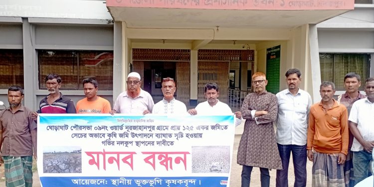 ১২৫ একর জমিতে এক নলকূপের ভরসা, সেচের অভাবে ফেটে চৌচির আমনখেত