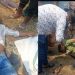 রাণীনগরে ব্যাংক কর্মকর্তাদের মারধর করে ৩৪ লাখ টাকা ছিনতাইয়ের অভিযোগ