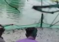 রাণীনগরে পুকুরে বিষ প্রয়োগের অভিযোগ, ৩৫ লাখ টাকার মাছ নিধনের শঙ্কা