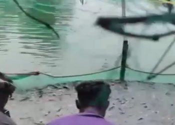 রাণীনগরে পুকুরে বিষ প্রয়োগের অভিযোগ, ৩৫ লাখ টাকার মাছ নিধনের শঙ্কা