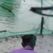 রাণীনগরে পুকুরে বিষ প্রয়োগের অভিযোগ, ৩৫ লাখ টাকার মাছ নিধনের শঙ্কা